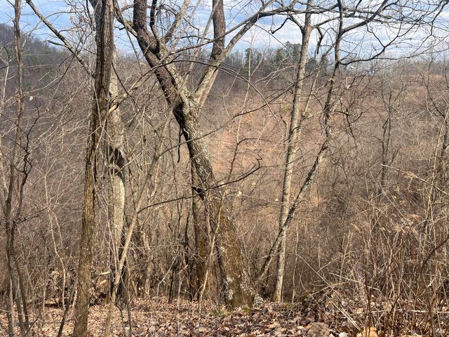 1470 Hopkins Fork, Pikeville, KY 41501