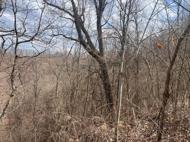 1470 Hopkins Fork, Pikeville, KY 41501