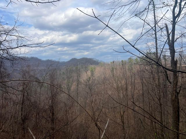 1470 Hopkins Fork, Pikeville, KY 41501