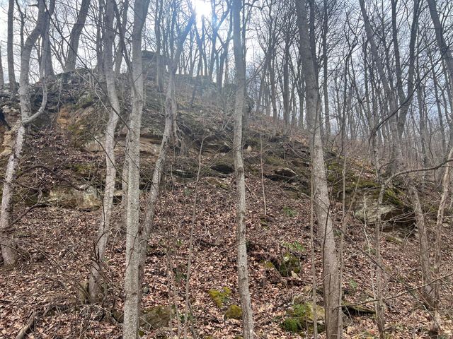 1470 Hopkins Fork, Pikeville, KY 41501