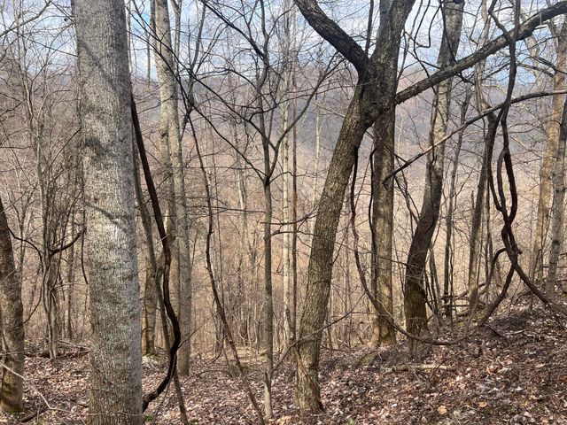 1470 Hopkins Fork, Pikeville, KY 41501