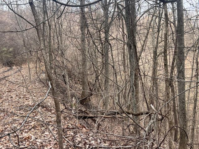 1470 Hopkins Fork, Pikeville, KY 41501