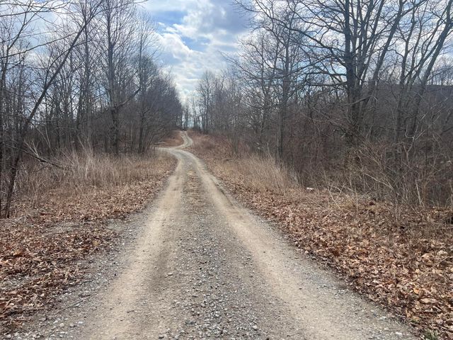 1470 Hopkins Fork, Pikeville, KY 41501