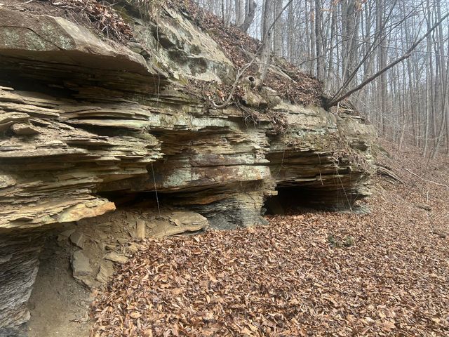 1470 Hopkins Fork, Pikeville, KY 41501