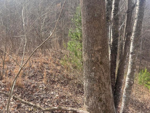 1470 Hopkins Fork, Pikeville, KY 41501