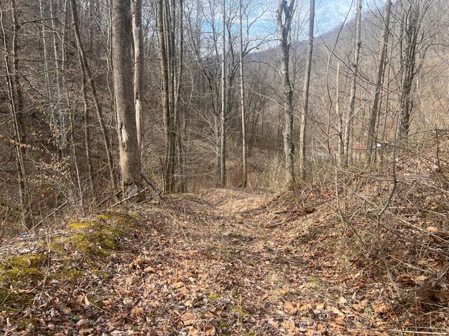 1470 Hopkins Fork, Pikeville, KY 41501