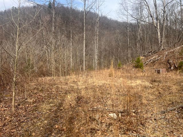 1470 Hopkins Fork, Pikeville, KY 41501