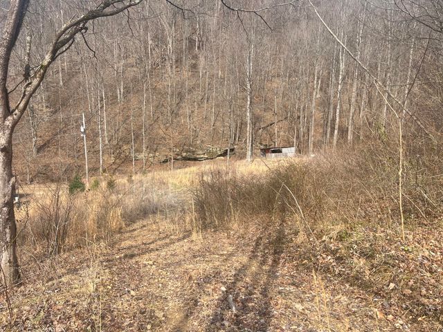 1470 Hopkins Fork, Pikeville, KY 41501