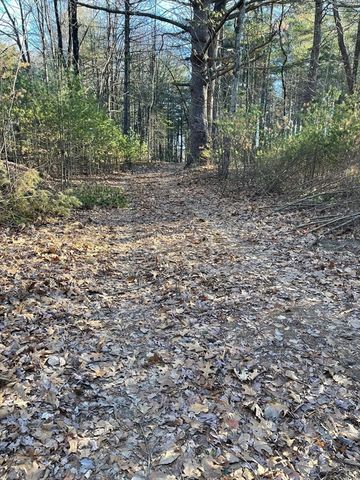 Lot 38 Michael Sears, Belchertown, MA 01007