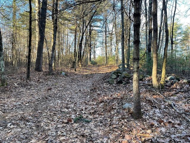 Lot 38 Michael Sears, Belchertown, MA 01007