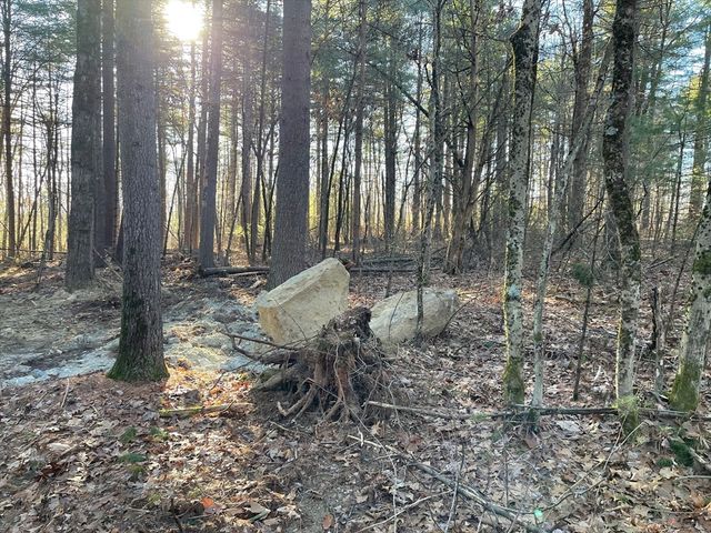 Lot 38 Michael Sears, Belchertown, MA 01007