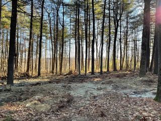 Lot 38 Michael Sears, Belchertown, MA 01007
