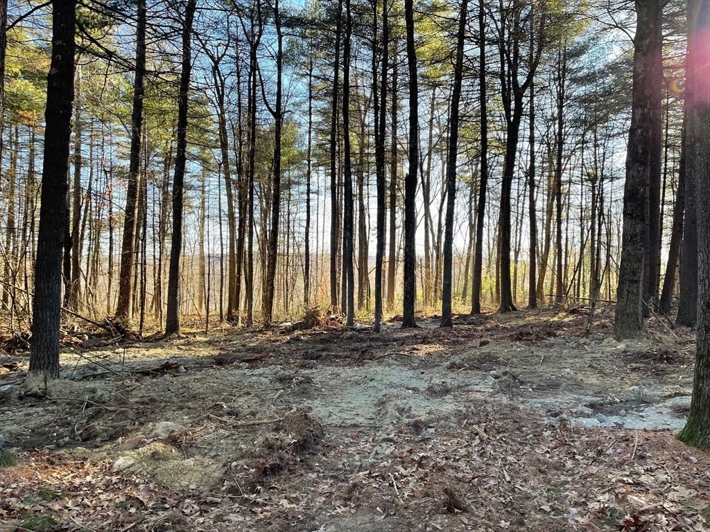 Lot 38 Michael Sears, Belchertown, MA 01007