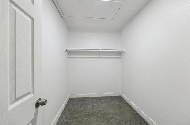 1210 Burning Tree Road, Kingwood, TX 77339