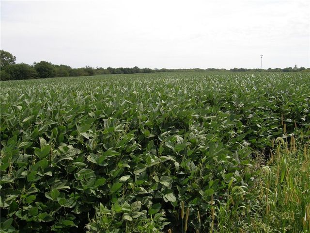 37200 W US-56 Highway, Edgerton, KS 66021