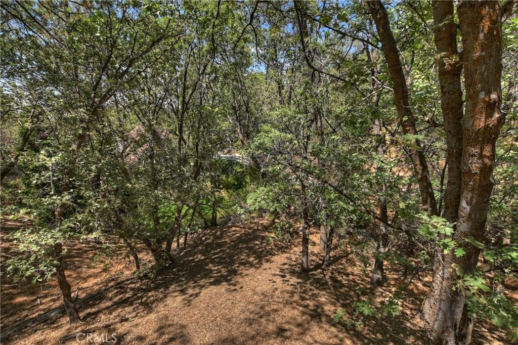Image 46 of property listing at 1308 Sequoia, Lake Arrowhead, CA 92352