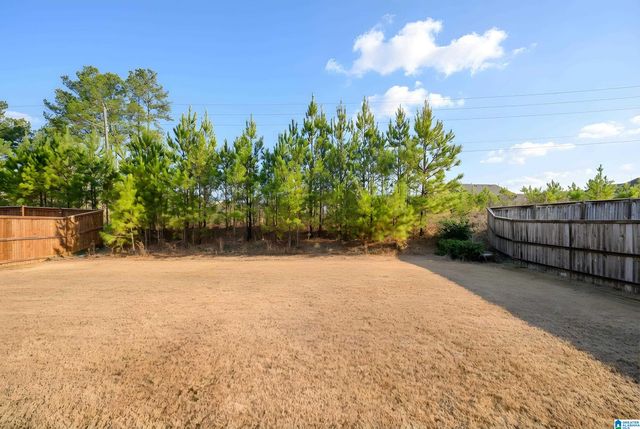 4072 PARK CROSSINGS DRIVE, Chelsea, AL 35043