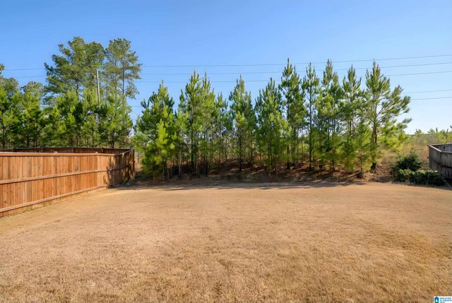 4072 PARK CROSSINGS DRIVE, Chelsea, AL 35043