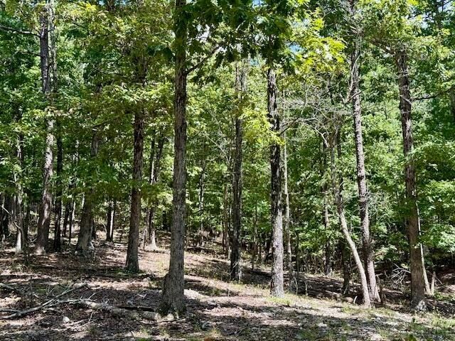 16444 Freedom Road, Willow Springs, MO 65793