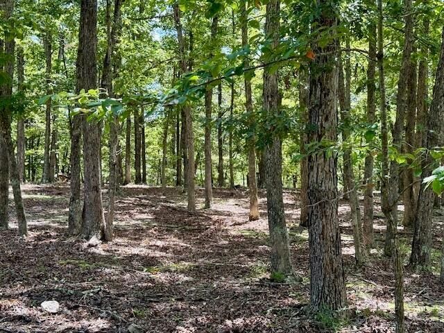 16444 Freedom Road, Willow Springs, MO 65793