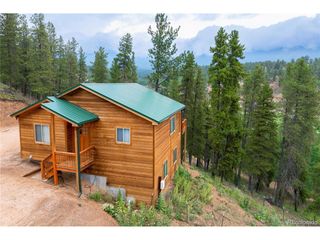 1555 Shelton Dr, Bailey, CO 80421