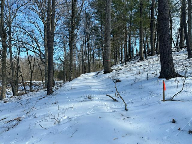 Lot 42 Lakewatch CIR, Moneta, VA 24121