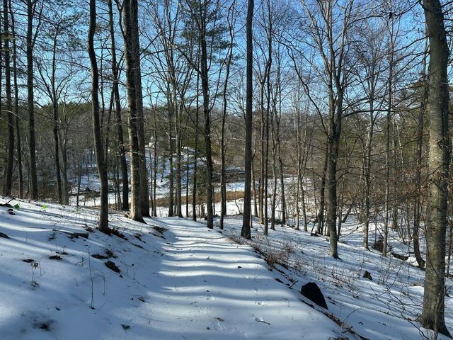 Lot 42 Lakewatch CIR, Moneta, VA 24121