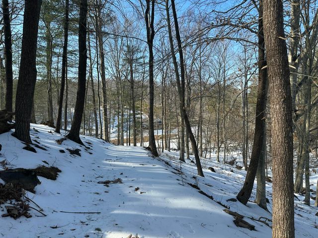 Lot 42 Lakewatch CIR, Moneta, VA 24121
