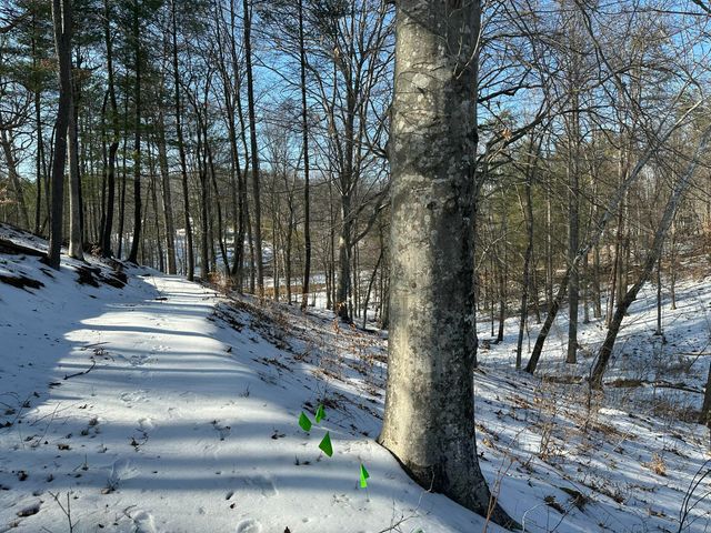 Lot 42 Lakewatch CIR, Moneta, VA 24121
