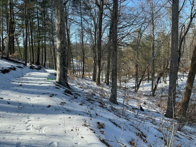 Lot 42 Lakewatch CIR, Moneta, VA 24121