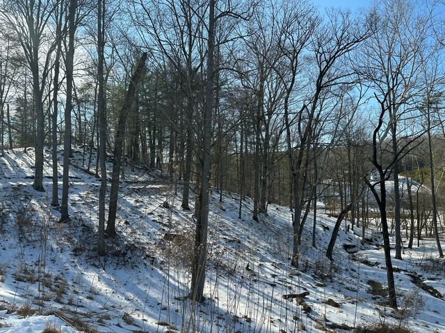 Lot 42 Lakewatch CIR, Moneta, VA 24121