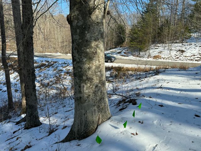 Lot 42 Lakewatch CIR, Moneta, VA 24121