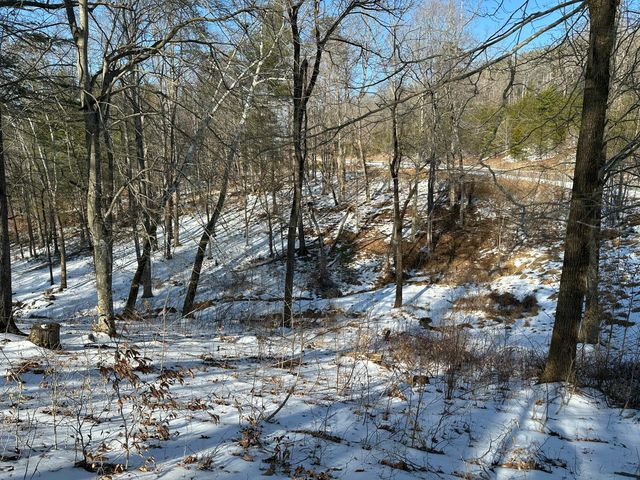 Lot 42 Lakewatch CIR, Moneta, VA 24121