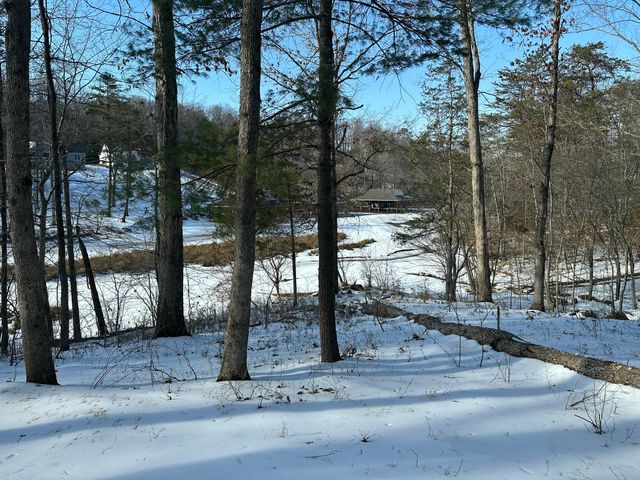 Lot 42 Lakewatch CIR, Moneta, VA 24121