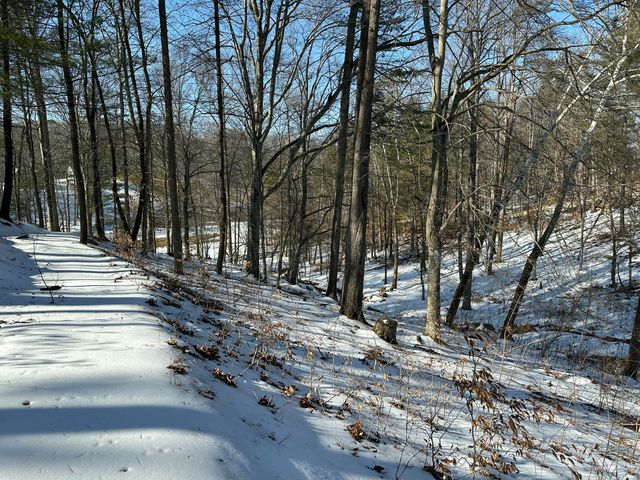 Lot 42 Lakewatch CIR, Moneta, VA 24121