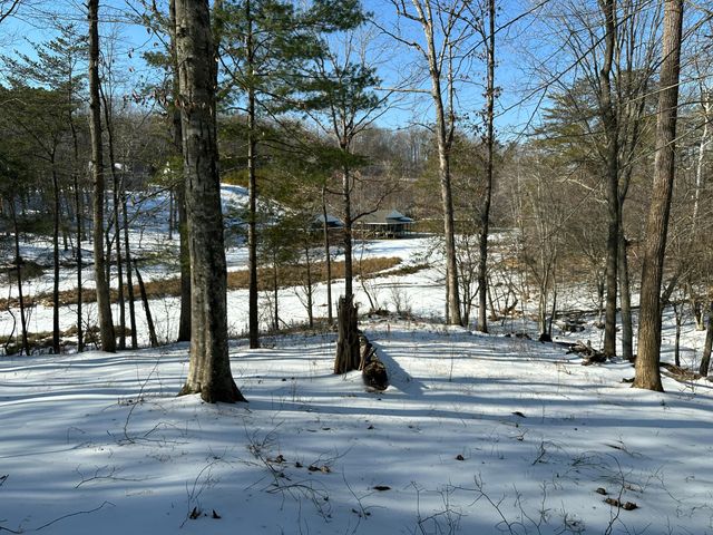 Lot 42 Lakewatch CIR, Moneta, VA 24121