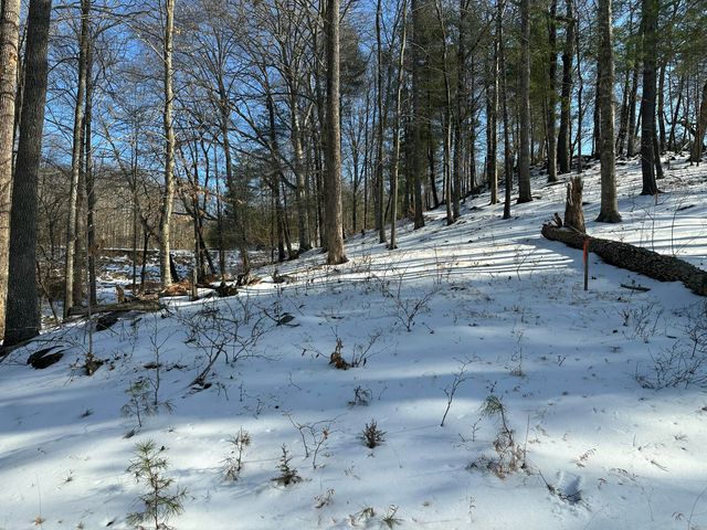 Lot 42 Lakewatch CIR, Moneta, VA 24121