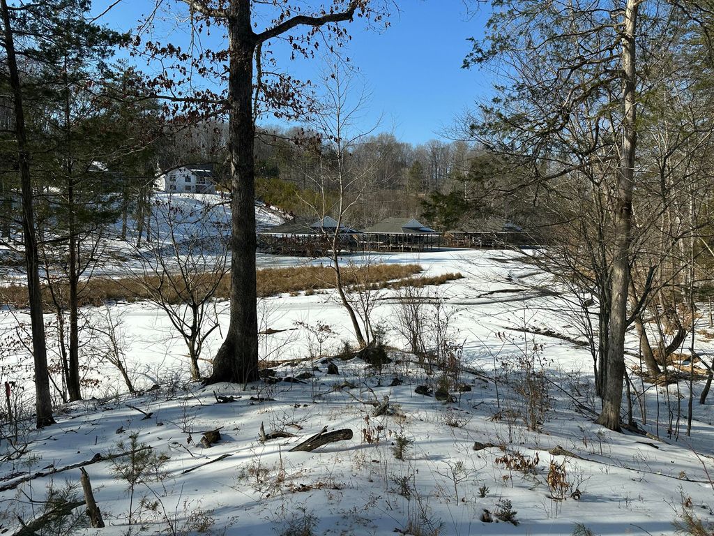Lot 42 Lakewatch CIR, Moneta, VA 24121
