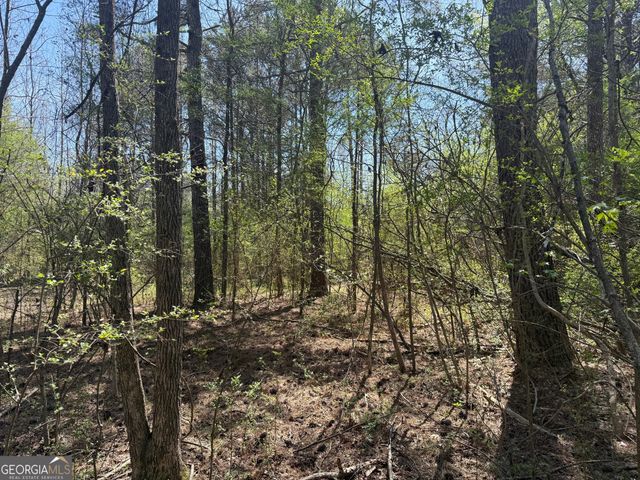 78 Mullinax Road, Taylorsville, GA 30178