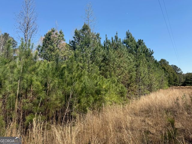 78 Mullinax Road, Taylorsville, GA 30178