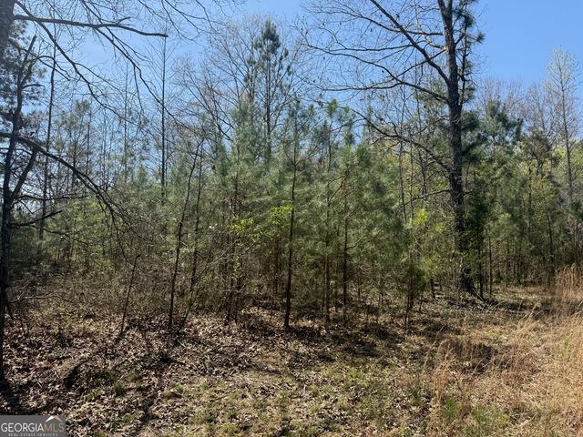 78 Mullinax Road, Taylorsville, GA 30178