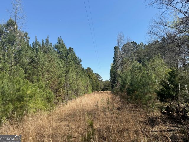 78 Mullinax Road, Taylorsville, GA 30178