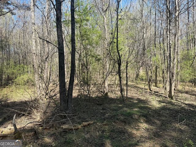 78 Mullinax Road, Taylorsville, GA 30178