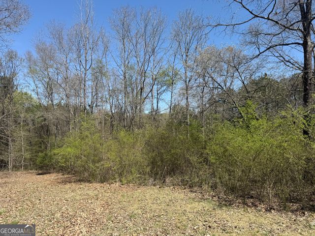 78 Mullinax Road, Taylorsville, GA 30178