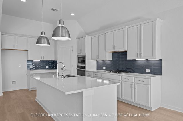 21703 Hibiscus Hedge Trail, Tomball, TX 77447