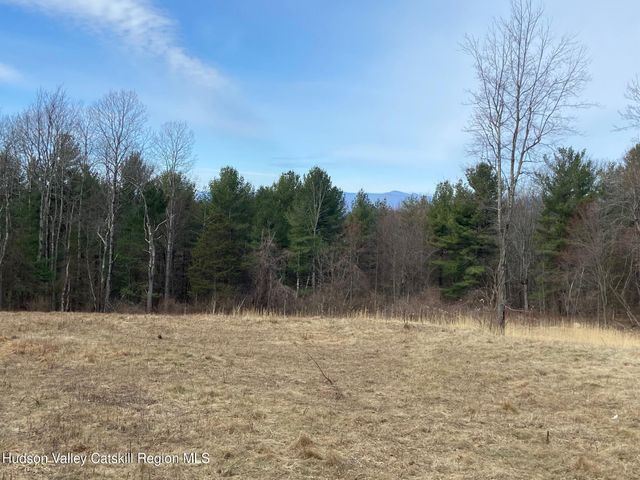 0 Bate Road, Claverack, NY 12513