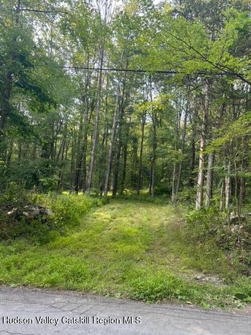 0 Bate Road, Claverack, NY 12513