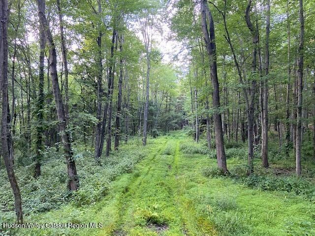 0 Bate Road, Claverack, NY 12513