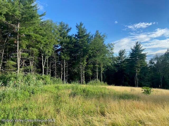 0 Bate Road, Claverack, NY 12513