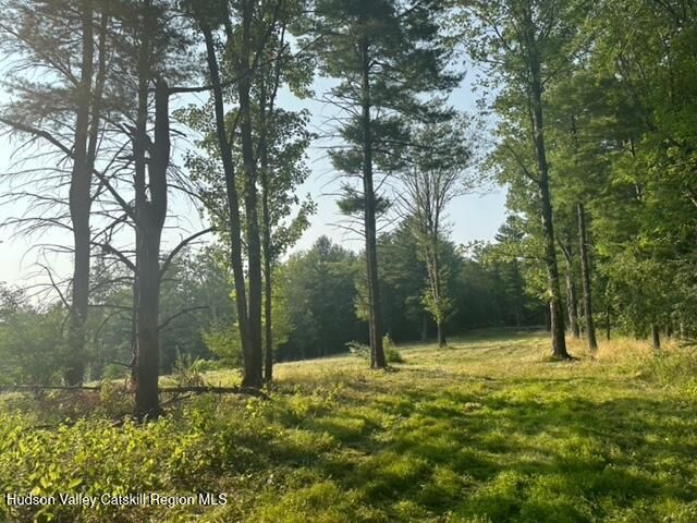 0 Bate Road, Claverack, NY 12513